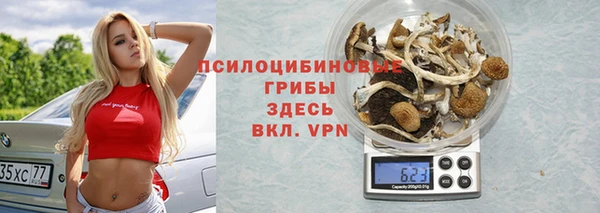 твердый Алзамай