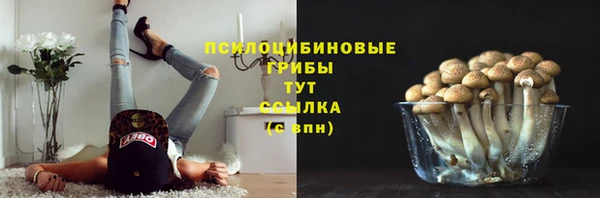 твердый Алзамай