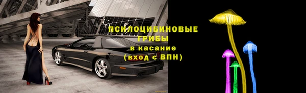 МДПВ Абинск